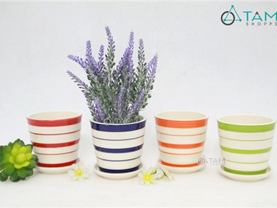 Chậu gốm mini trồng cây để bàn sọc ngang số 60